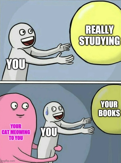Reality for cat owners | REALLY STUDYING; YOU; YOUR BOOKS; YOUR CAT MEOWING TO YOU; YOU | image tagged in memes,running away balloon | made w/ Imgflip meme maker