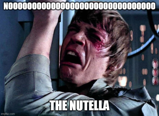 Nooo | NOOOOOOOOOOOOOOOOOOOOOOOOOOOOOOO THE NUTELLA | image tagged in nooo | made w/ Imgflip meme maker