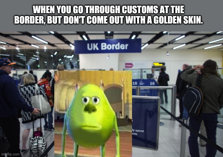 Customs | WHEN YOU GO THROUGH CUSTOMS AT THE BORDER, BUT DON'T COME OUT WITH A GOLDEN SKIN. | image tagged in custom,border | made w/ Imgflip meme maker