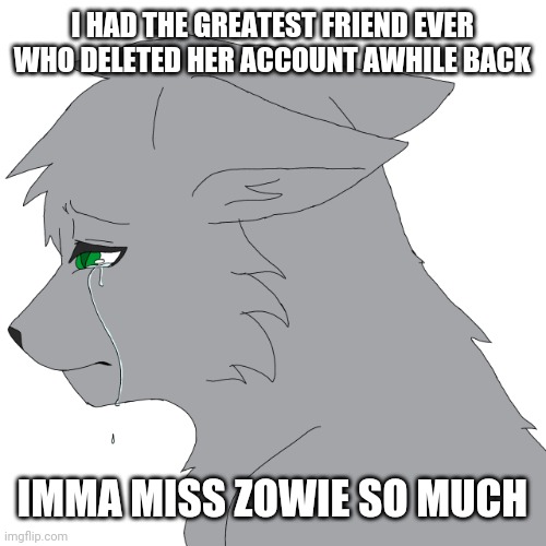 I'm still depressed about it | I HAD THE GREATEST FRIEND EVER WHO DELETED HER ACCOUNT AWHILE BACK; IMMA MISS ZOWIE SO MUCH | image tagged in depressed loki,deleted accounts,r i p | made w/ Imgflip meme maker