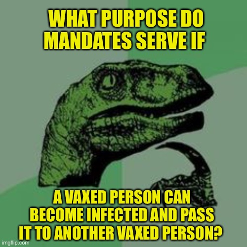 Time raptor  | WHAT PURPOSE DO MANDATES SERVE IF; A VAXED PERSON CAN BECOME INFECTED AND PASS IT TO ANOTHER VAXED PERSON? | image tagged in time raptor | made w/ Imgflip meme maker