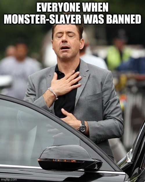 yay | EVERYONE WHEN MONSTER-SLAYER WAS BANNED | image tagged in relief | made w/ Imgflip meme maker