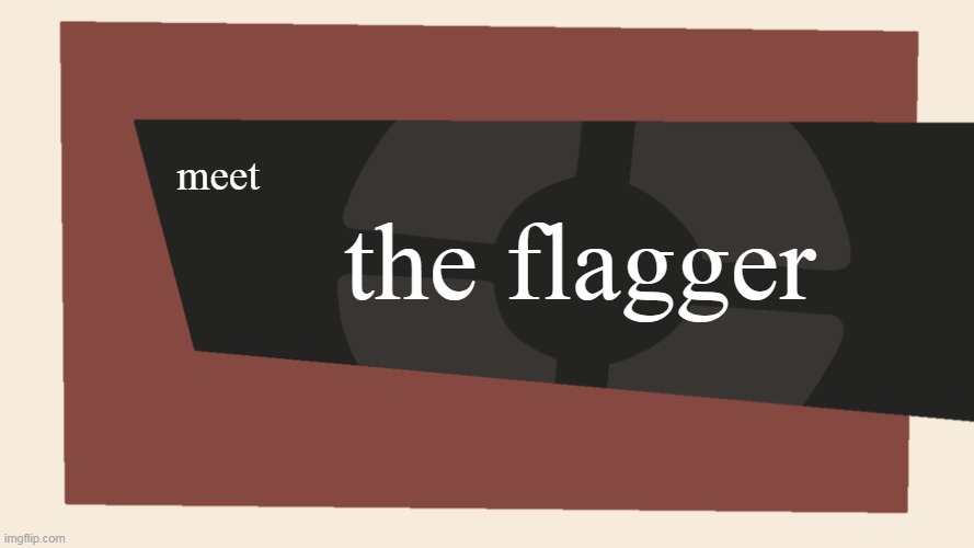 Hoo Hoo | the flagger; meet | image tagged in meet the blank | made w/ Imgflip meme maker