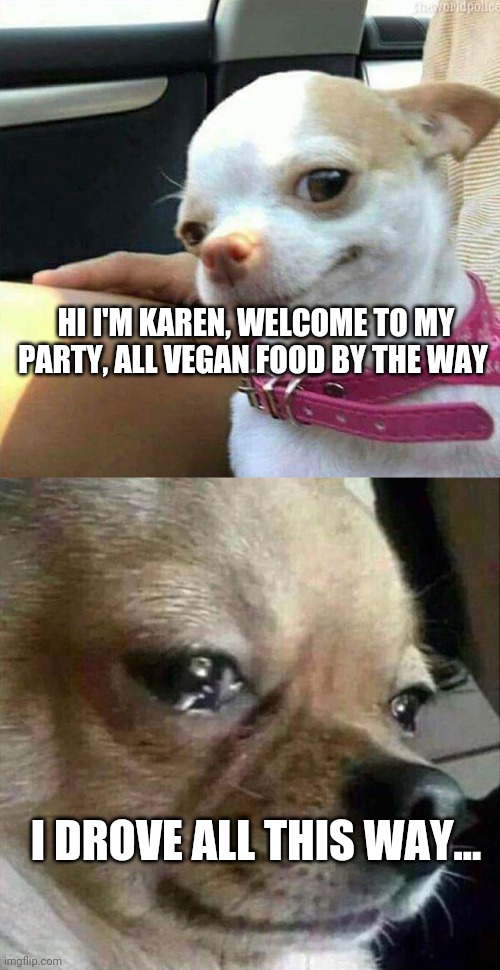 I Forgot to mention, no chicken, no meat.. | HI I'M KAREN, WELCOME TO MY PARTY, ALL VEGAN FOOD BY THE WAY; I DROVE ALL THIS WAY... | image tagged in vegan dog party,drove all this way no chicken,no chicken meme,vegan meme,karen dog meme | made w/ Imgflip meme maker
