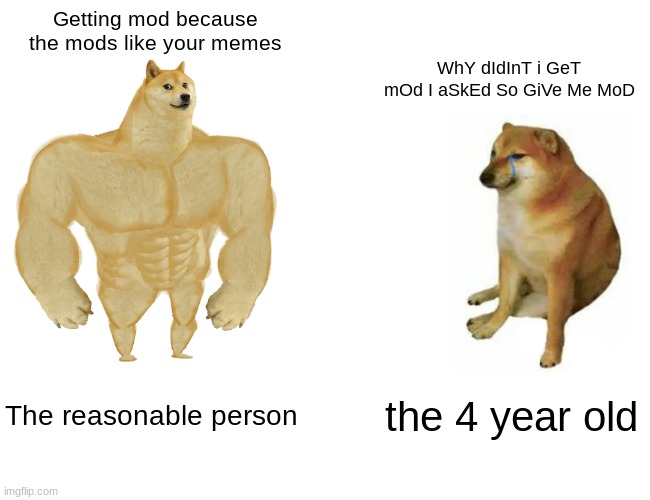 Can i get mod :L | Getting mod because the mods like your memes; WhY dIdInT i GeT mOd I aSkEd So GiVe Me MoD; The reasonable person; the 4 year old | image tagged in memes,buff doge vs cheems | made w/ Imgflip meme maker