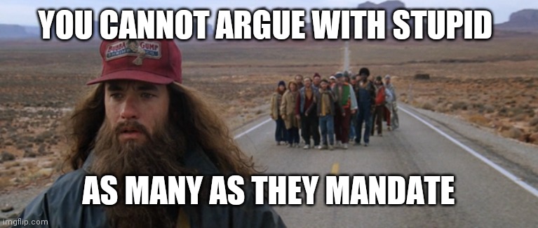 Forrest Gump Run Beard | YOU CANNOT ARGUE WITH STUPID AS MANY AS THEY MANDATE | image tagged in forrest gump run beard | made w/ Imgflip meme maker