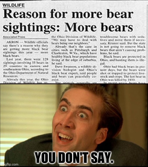 More bears | YOU DON'T SAY. | image tagged in you don't say - nicholas cage,reposts,repost,memes,bears,news | made w/ Imgflip meme maker