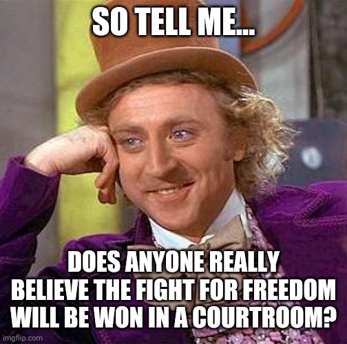 Pushing papers isn't working. | SO TELL ME... DOES ANYONE REALLY BELIEVE THE FIGHT FOR FREEDOM WILL BE WON IN A COURTROOM? | image tagged in memes | made w/ Imgflip meme maker