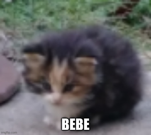 BEBE | made w/ Imgflip meme maker