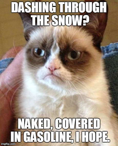 Got a match? | DASHING THROUGH THE SNOW? NAKED, COVERED IN GASOLINE, I HOPE. | image tagged in memes,grumpy cat,christmas,carolers | made w/ Imgflip meme maker