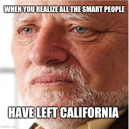 Harold sad | WHEN YOU REALIZE ALL THE SMART PEOPLE; HAVE LEFT CALIFORNIA | image tagged in harold sad | made w/ Imgflip meme maker