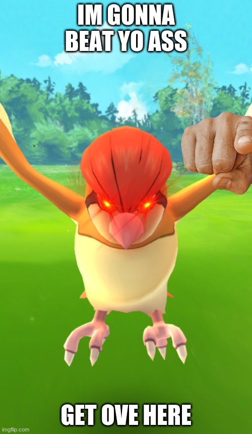 Judgmental Pidgeotto | IM GONNA BEAT YO ASS; GET OVE HERE | image tagged in judgmental pidgeotto | made w/ Imgflip meme maker
