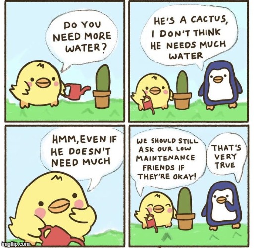 why does this feel like wholesome content? | image tagged in comics,memes,wholesome,wholesome memes,duck,cactus | made w/ Imgflip meme maker