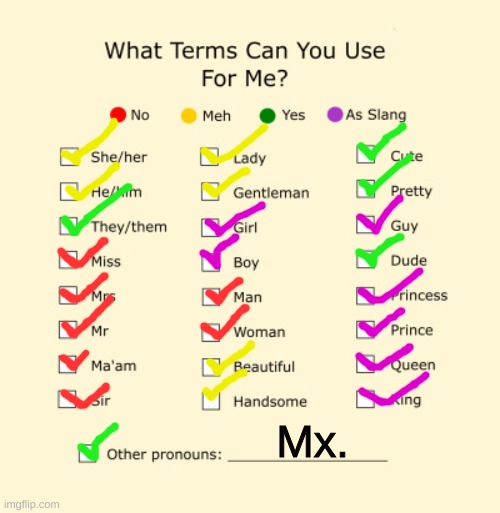 so...this | Mx. | image tagged in pronouns sheet | made w/ Imgflip meme maker