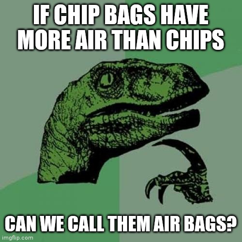 Philosoraptor | IF CHIP BAGS HAVE MORE AIR THAN CHIPS; CAN WE CALL THEM AIR BAGS? | image tagged in memes,philosoraptor,funny,oh wow are you actually reading these tags,funny memes | made w/ Imgflip meme maker