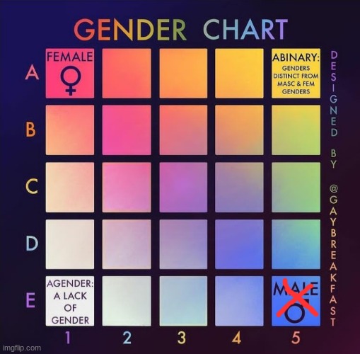 yeah bro | image tagged in gender chart | made w/ Imgflip meme maker