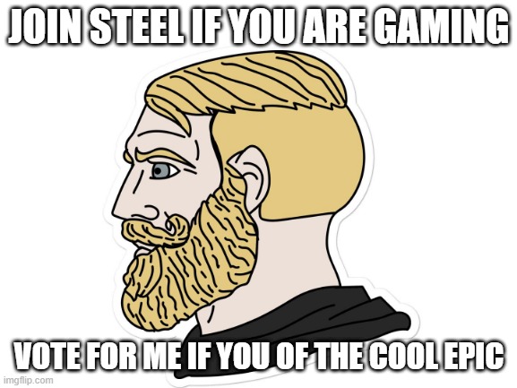 JOIN STEEL IF YOU ARE GAMING; VOTE FOR ME IF YOU OF THE COOL EPIC | made w/ Imgflip meme maker