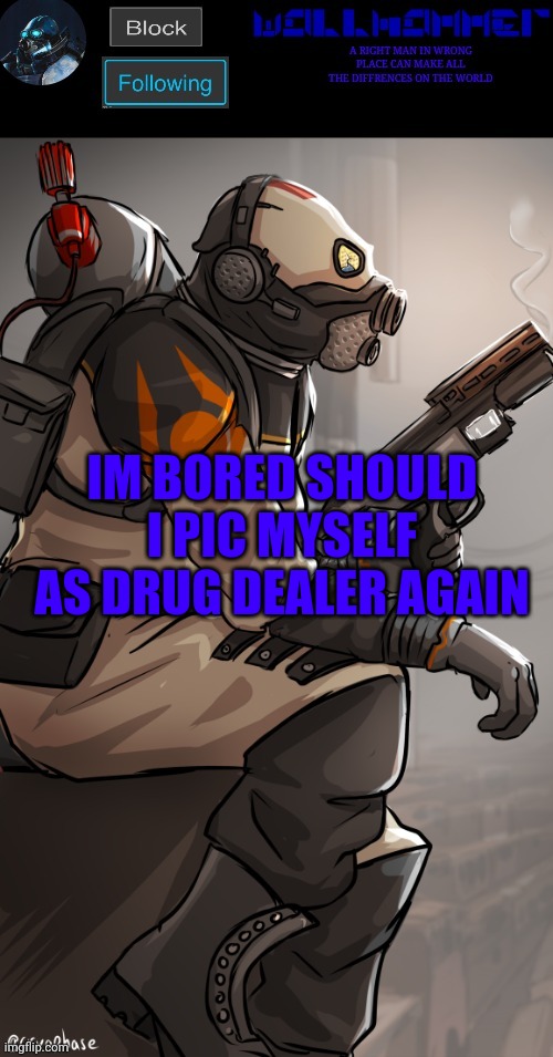 wallhamer | IM BORED SHOULD I PIC MYSELF AS DRUG DEALER AGAIN | image tagged in wallhamer | made w/ Imgflip meme maker