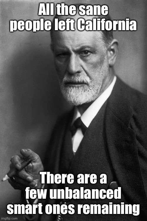 Sigmund Freud Meme | All the sane people left California There are a few unbalanced smart ones remaining | image tagged in memes,sigmund freud | made w/ Imgflip meme maker