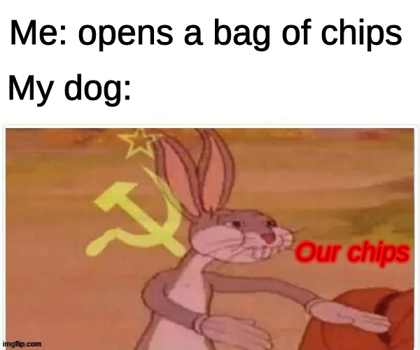 Our chips | Me: opens a bag of chips; My dog:; Our chips | image tagged in communist bugs bunny,doge,memes,chips | made w/ Imgflip meme maker