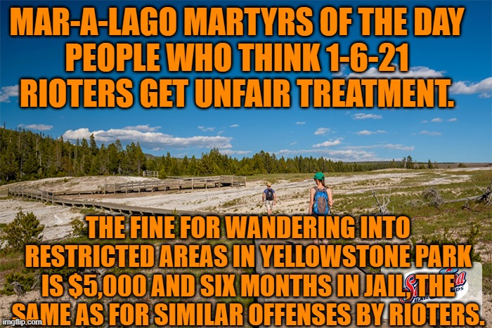 You are more likely to really need bear spray in Yellowstone. | MAR-A-LAGO MARTYRS OF THE DAY
PEOPLE WHO THINK 1-6-21 RIOTERS GET UNFAIR TREATMENT. THE FINE FOR WANDERING INTO RESTRICTED AREAS IN YELLOWSTONE PARK IS $5,000 AND SIX MONTHS IN JAIL, THE SAME AS FOR SIMILAR OFFENSES BY RIOTERS. | image tagged in politics | made w/ Imgflip meme maker