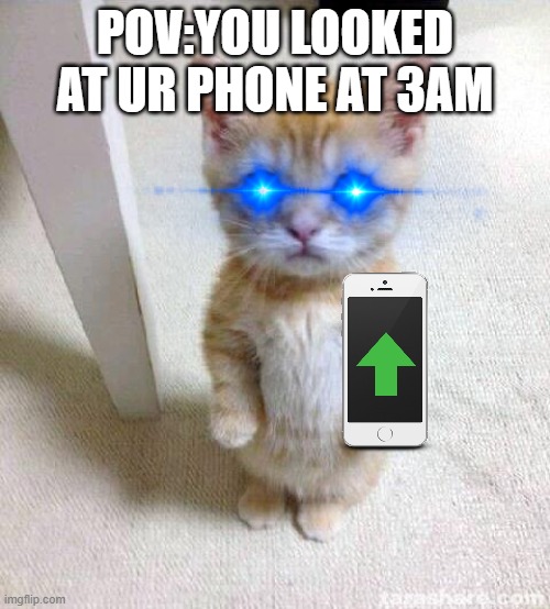 mah eies | POV:YOU LOOKED AT UR PHONE AT 3AM | image tagged in memes,cute cat | made w/ Imgflip meme maker