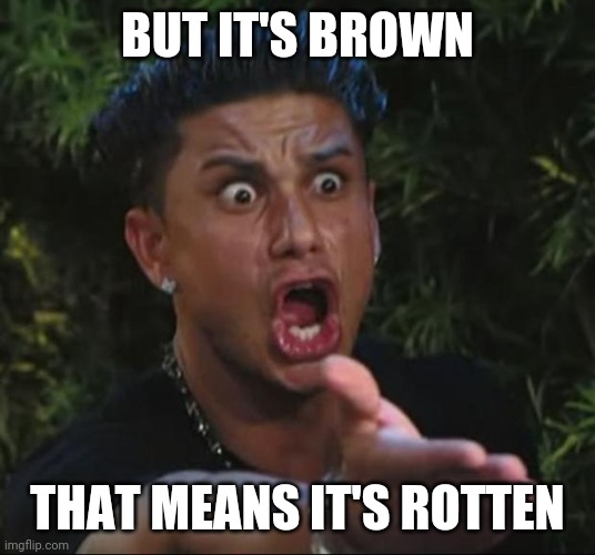 DJ Pauly D Meme | BUT IT'S BROWN THAT MEANS IT'S ROTTEN | image tagged in memes,dj pauly d | made w/ Imgflip meme maker