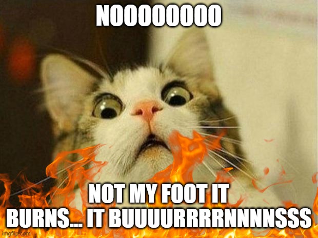 AAAAAAAAAAAAAAAAAAAAAAAAAAAAAAA | NOOOOOOOO; NOT MY FOOT IT BURNS... IT BUUUURRRRNNNNSSS | image tagged in scared cat,flames,burn foot | made w/ Imgflip meme maker