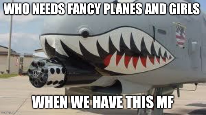 Brrrrrt | WHO NEEDS FANCY PLANES AND GIRLS; WHEN WE HAVE THIS MF | image tagged in a-10 warthog | made w/ Imgflip meme maker