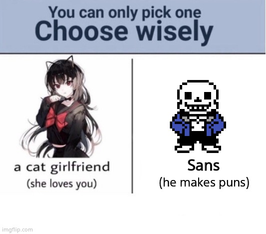 Which one? | Sans; (he makes puns) | image tagged in choose wisely | made w/ Imgflip meme maker