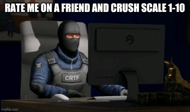 counter-terrorist looking at the computer | RATE ME ON A FRIEND AND CRUSH SCALE 1-10 | image tagged in computer | made w/ Imgflip meme maker