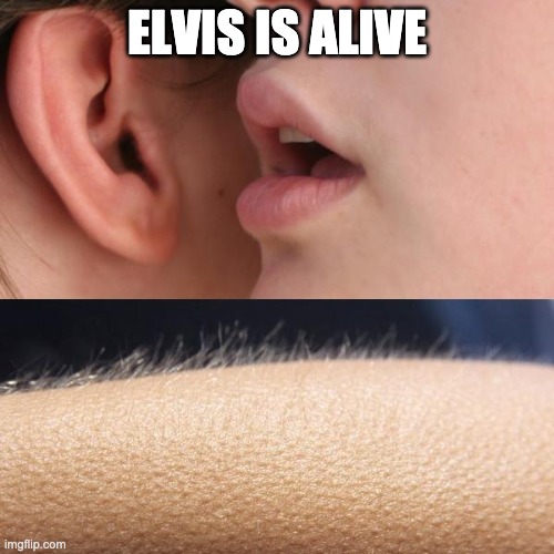 Whisper and Goosebumps | ELVIS IS ALIVE | image tagged in whisper and goosebumps | made w/ Imgflip meme maker