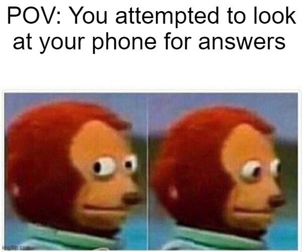 Monkey Puppet | POV: You attempted to look; at your phone for answers | image tagged in memes,monkey puppet | made w/ Imgflip meme maker