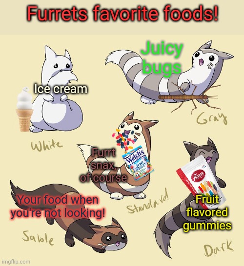 Favorite foods | Furrets favorite foods! Juicy bugs; Ice cream; Furrt snax, of course; Fruit flavored gummies; Your food when you're not looking! | image tagged in furret,furret army,pokemon,cute animals,snacks | made w/ Imgflip meme maker