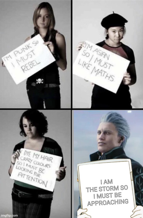 If you get it, you get it. If you don't, you don't | I AM THE STORM SO I MUST BE APPROACHING | image tagged in stereotype me,devil may cry | made w/ Imgflip meme maker