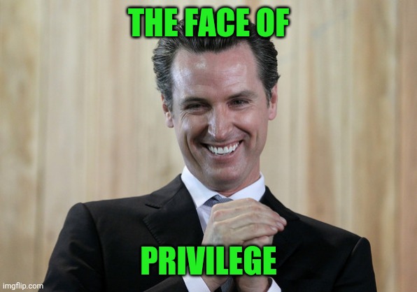 Good try Larry | THE FACE OF; PRIVILEGE | image tagged in scheming gavin newsom | made w/ Imgflip meme maker