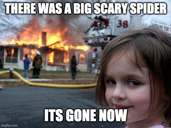 Disaster Girl | THERE WAS A BIG SCARY SPIDER; ITS GONE NOW | image tagged in memes,disaster girl | made w/ Imgflip meme maker