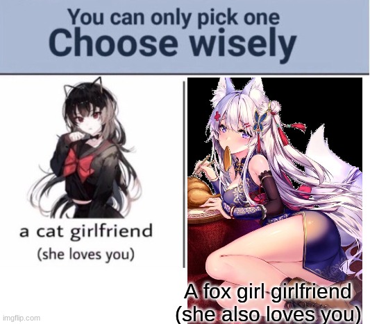 Choose wisely | A fox girl girlfriend
(she also loves you) | image tagged in choose wisely | made w/ Imgflip meme maker