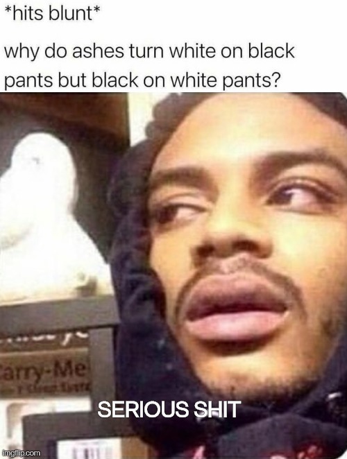 *Hits blunt | SERIOUS SHIT | image tagged in imgflip,funny,memes,stoners,hits blunt,repost | made w/ Imgflip meme maker