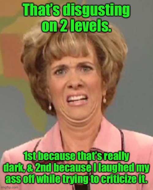 Disgusted Kristin Wiig | That’s disgusting on 2 levels. 1st because that’s really dark, & 2nd because I laughed my ass off while trying to criticize it. | image tagged in disgusted kristin wiig | made w/ Imgflip meme maker