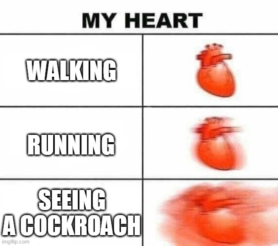 My heart blank | WALKING; RUNNING; SEEING A COCKROACH | image tagged in my heart blank,cockroach,fear,heart beating faster,walking,running | made w/ Imgflip meme maker