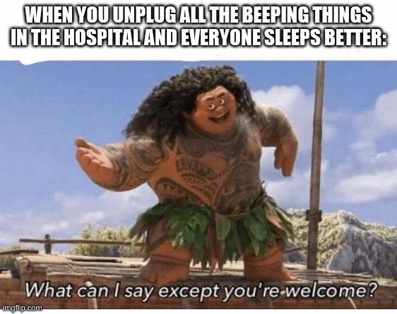 hmm | WHEN YOU UNPLUG ALL THE BEEPING THINGS IN THE HOSPITAL AND EVERYONE SLEEPS BETTER: | image tagged in what can i say except you're welcome | made w/ Imgflip meme maker