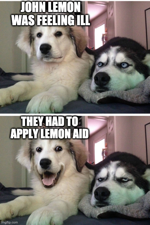 Good thing the doctor was able to squeeze him in the schedule |  JOHN LEMON WAS FEELING ILL; THEY HAD TO APPLY LEMON AID | image tagged in bad pun dogs | made w/ Imgflip meme maker