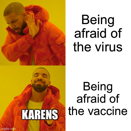W O W | Being afraid of the virus; Being afraid of the vaccine; KARENS | image tagged in memes,drake hotline bling,karen,vaccine,virus | made w/ Imgflip meme maker