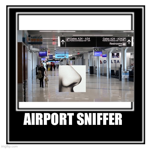 AIRPORT SNIFFER | image tagged in idk | made w/ Imgflip meme maker