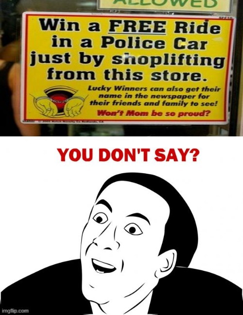 You dont say-_- | image tagged in funny | made w/ Imgflip meme maker