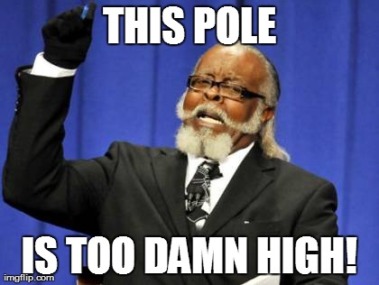 Too Damn High Meme | THIS POLE IS TOO DAMN HIGH! | image tagged in memes,too damn high | made w/ Imgflip meme maker