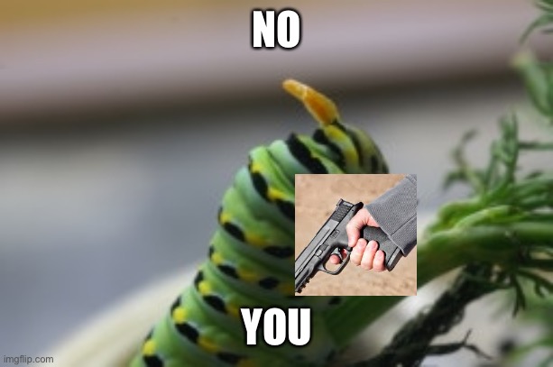 Angry Caterpillar | NO YOU | image tagged in angry caterpillar | made w/ Imgflip meme maker