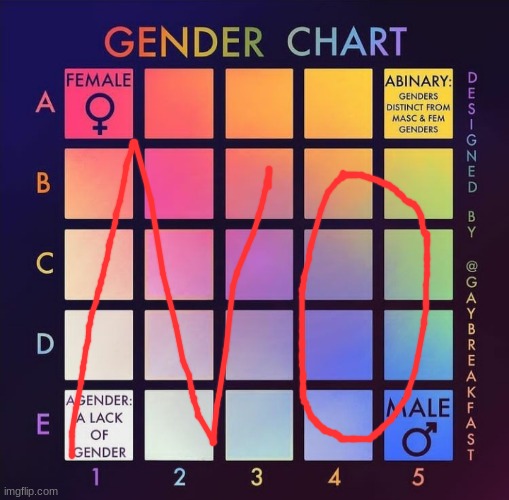 Non binaryyyyy | image tagged in gender chart,lgbtq | made w/ Imgflip meme maker