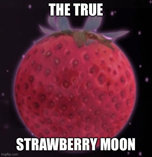 THE TRUE; STRAWBERRY MOON | image tagged in strawberry moon | made w/ Imgflip meme maker